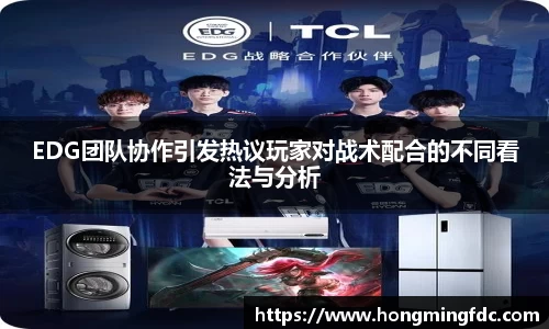 EDG团队协作引发热议玩家对战术配合的不同看法与分析