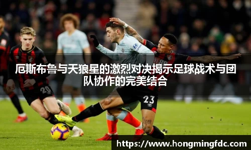 厄斯布鲁与天狼星的激烈对决揭示足球战术与团队协作的完美结合