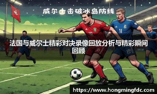 法国与威尔士精彩对决录像回放分析与精彩瞬间回顾