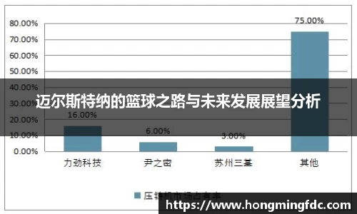 迈尔斯特纳的篮球之路与未来发展展望分析